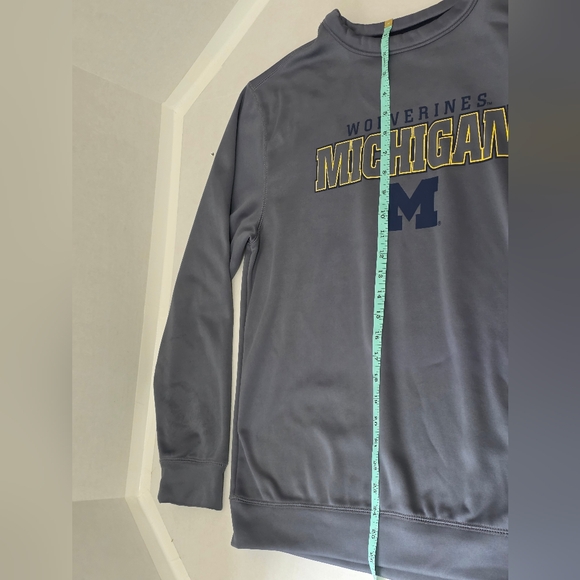 Champion Wolverines Michigan Gray Crewneck Sweater - Picture 4 of 6